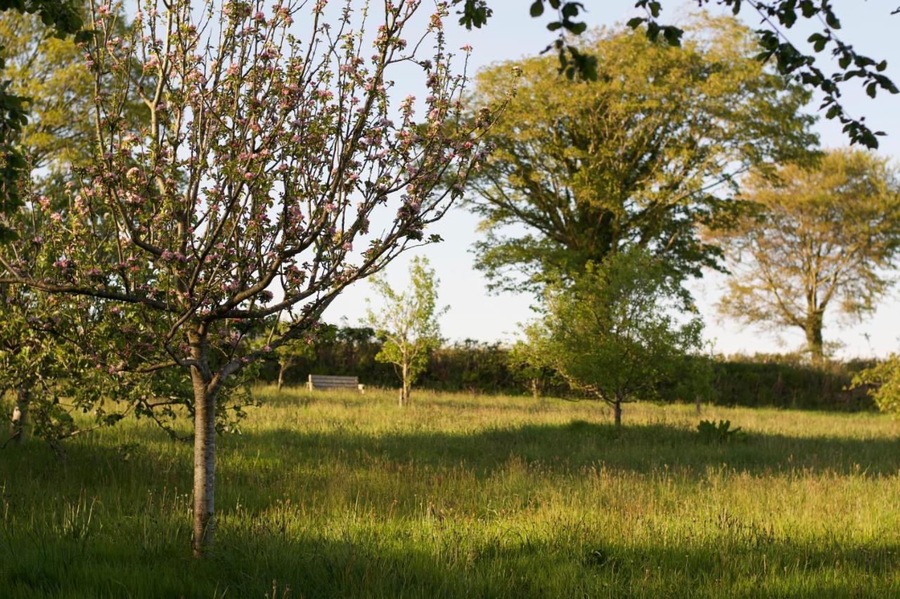 Holwell Holistic Retreat Panzió Barnstaple Kültér fotó