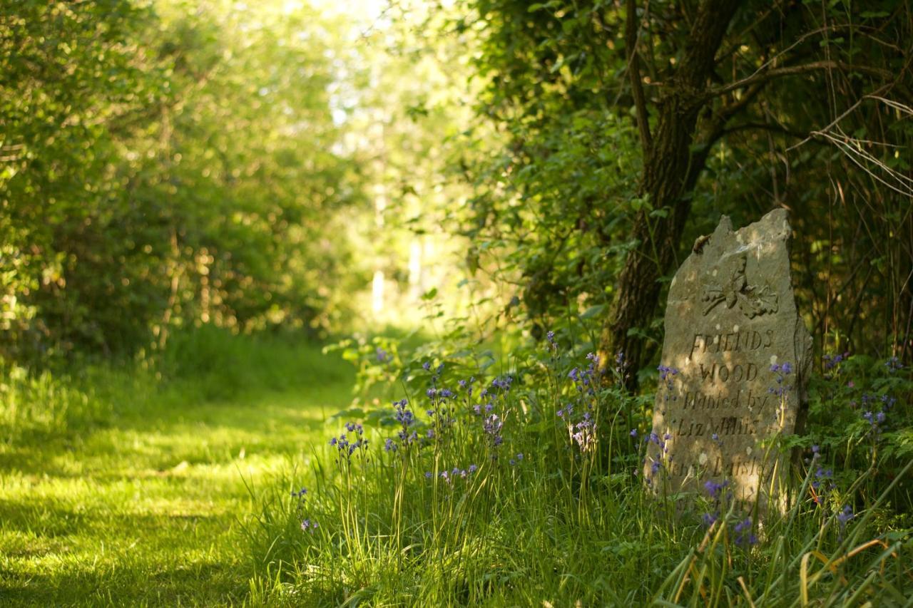 Holwell Holistic Retreat Panzió Barnstaple Kültér fotó