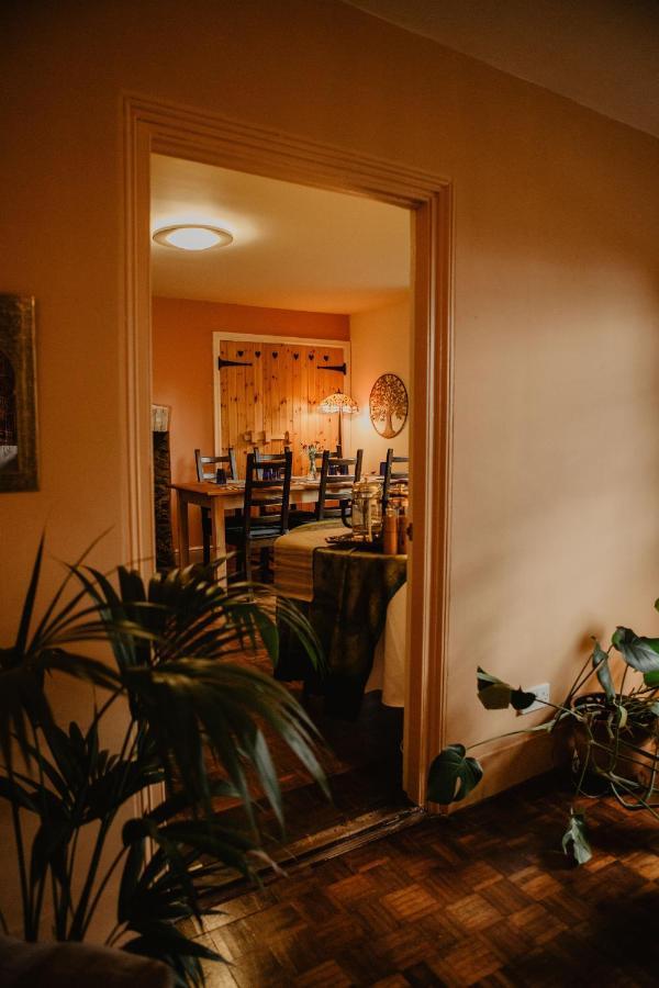 Holwell Holistic Retreat Panzió Barnstaple Kültér fotó